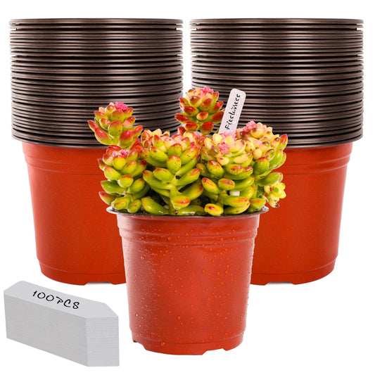 LWWTBS Plant Nursery Pot/Pots 100 Pcs 6" Plastic Small Plants Pots Flower Pots Seed Starting Pots for Plants Indoor Outdoor Seeding pots (with 100 Plant Labels)