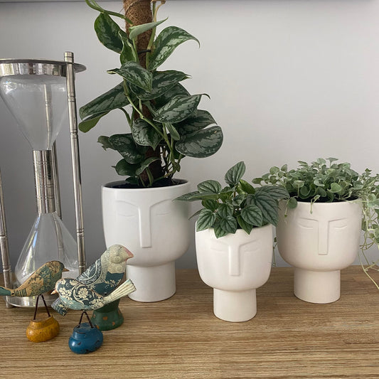 Planters for Indoor Plants - Tall 7 Inch Ceramic Self Watering Pots Matte White Plant Pot with Drainage & Inner Pot Face Vase Or Head Planter Unique Face Pots for Plants. Medium 5.5 Inch Wide