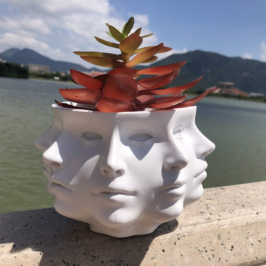 LuckyVin Multi-Face Succulent Planter Vase - Small Face Plant Head Home Decoration - Indoor Cactus Pot