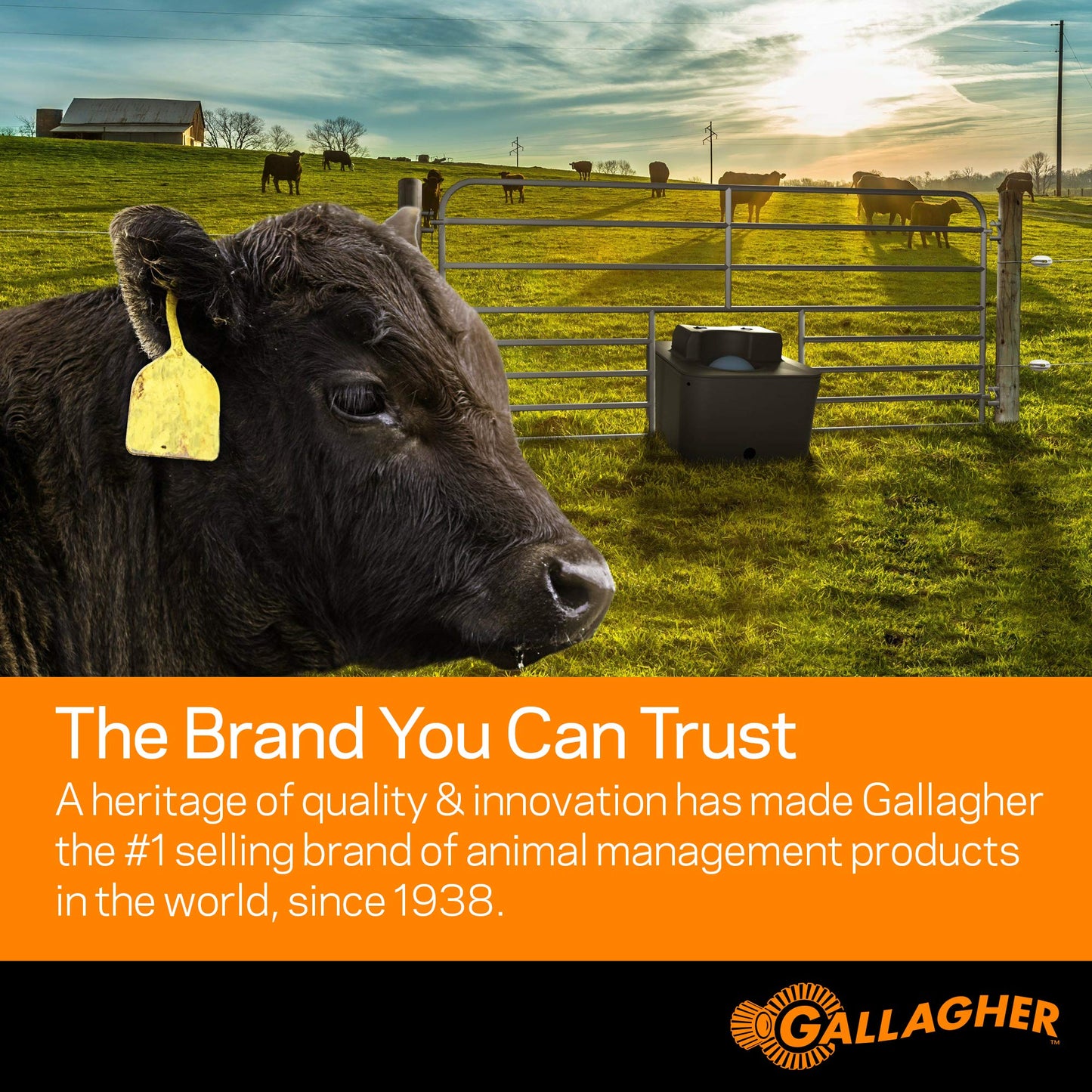 Gallagher S12 Solar Electric Fence Charger | Powers Up to 4 Miles / 18 Acres of Fence | Solar Lithium Technology, 0.12 Stored Joule Energizer | Built-in Earthing | Portable and Super Tough