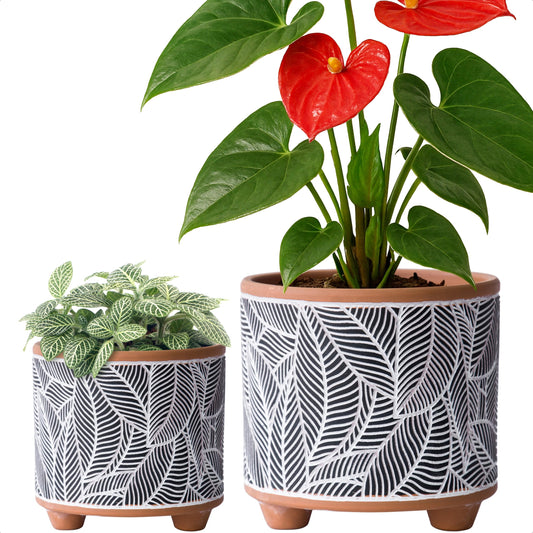 D'vine Dev Set of 2 Terracotta Planter Pots, 4 Inch & 6 Inch, Design Plants Pot with Drainage Hole, Monsoon Jungle, Terracotta/Black, 31-953-H-2