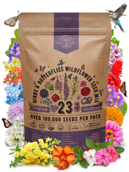 Organo Republic 23 Wildflower Seeds Annual & Perennial Mix for Indoor & Outdoors, Attract Birds & Butterflies 100,000+ Non-GMO, Heirloom Garden Seeds, 4oz Packet for Growing Wild Flowers