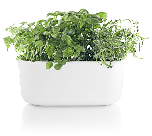 Eva Solo | Self-Watering Herb Organiser | Keeps Indoor House Plants, Flowers, Herbs & Vegetables Watered & Healthy | Danish Design, Functionality & Quality | White