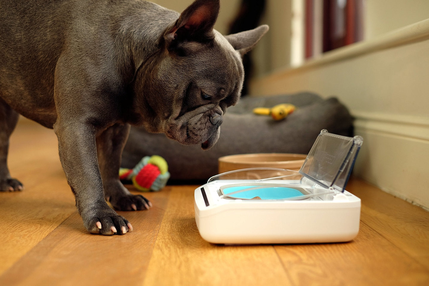 Sure Petcare - SureFeed - Motion Activated Sealed Pet Bowl - NOT Microchip Activated