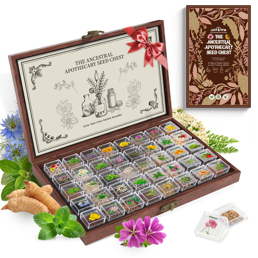 Lush&Dew Ancestral Apothecary Medicinal Tea Herb Seed Chest, 36,000+ Non-GMO Survival Seed Kit, Gardening Gifts for Women Men, 40 Types Heirloom Garden Seeds for Planting Herbs, Raised Bed Windowsill