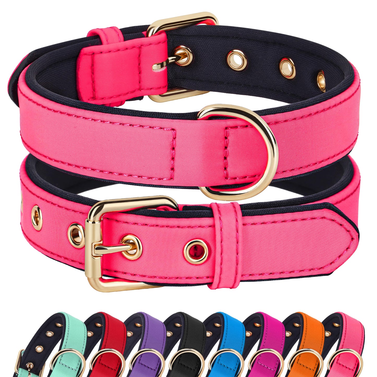 Didog Soft Padded Dog Collars for Small Dogs, Lightweight and Breathable Dog Collar Waterproof with Metal Buckle for Puppy, Blue, S