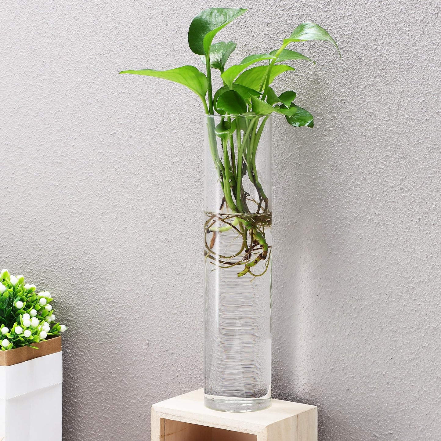 Healeved Wall Hanging Cylinder Glass Vase Set, 2pcs Large Tube Propagation Station for Indoor Plants, Modern Hydroponic Plant Holder, Decorative Terrarium Wall Planter