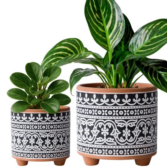 D'vine Dev Set of 2 Terracotta Planter Pots, 4 Inch & 6 Inch, Design Plants Pot with Drainage Hole, Midnight Lace, Terracotta/Black, 31-953-F-2